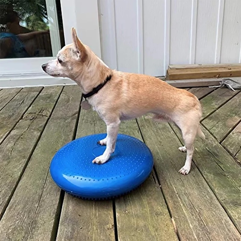 Balance Cushion Disc - Disco de Equilíbrio para Cães: Almofada
