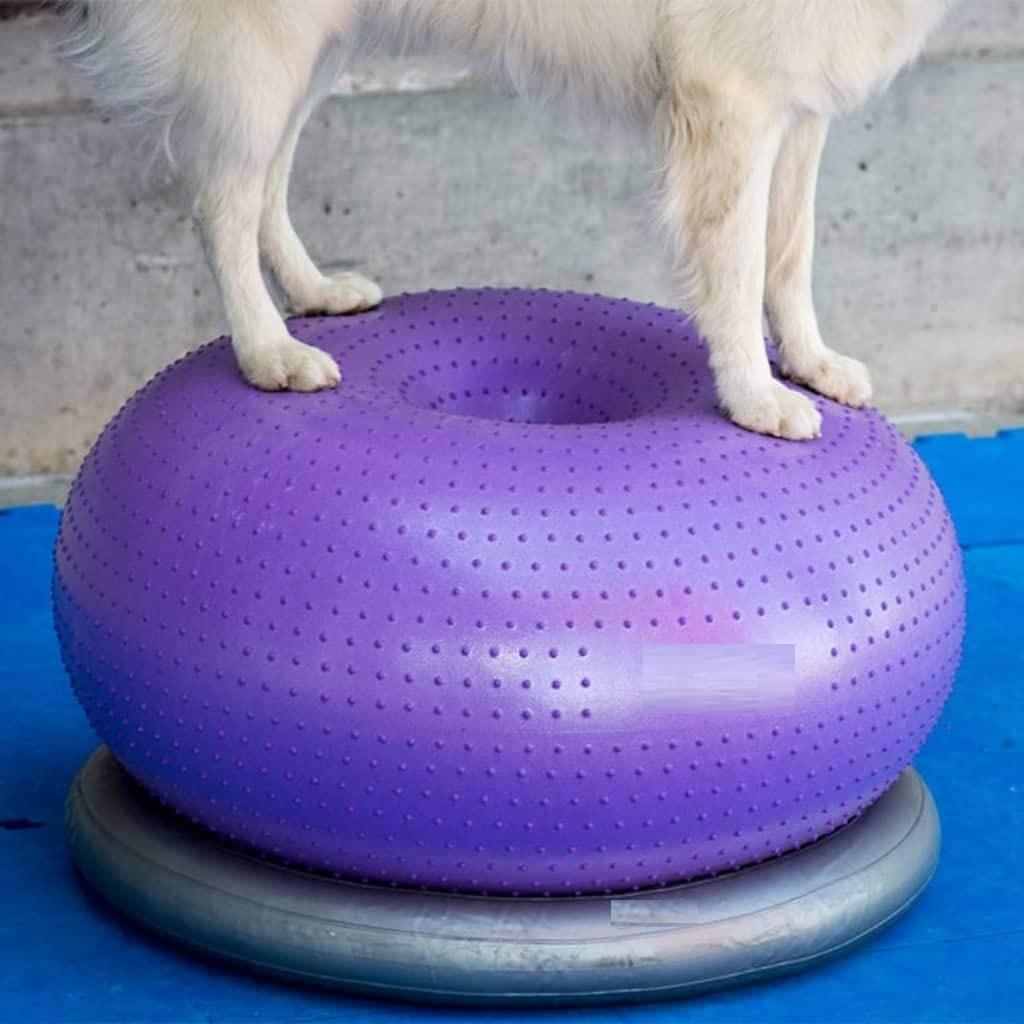 Balance Cushion Disc - Plataforma de Equilíbrio para Cães, Almofada