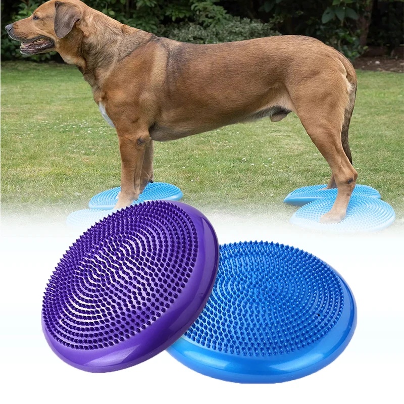 Disco de Equilíbrio para Cães: - Balance Cushion Disc avaliação e preço