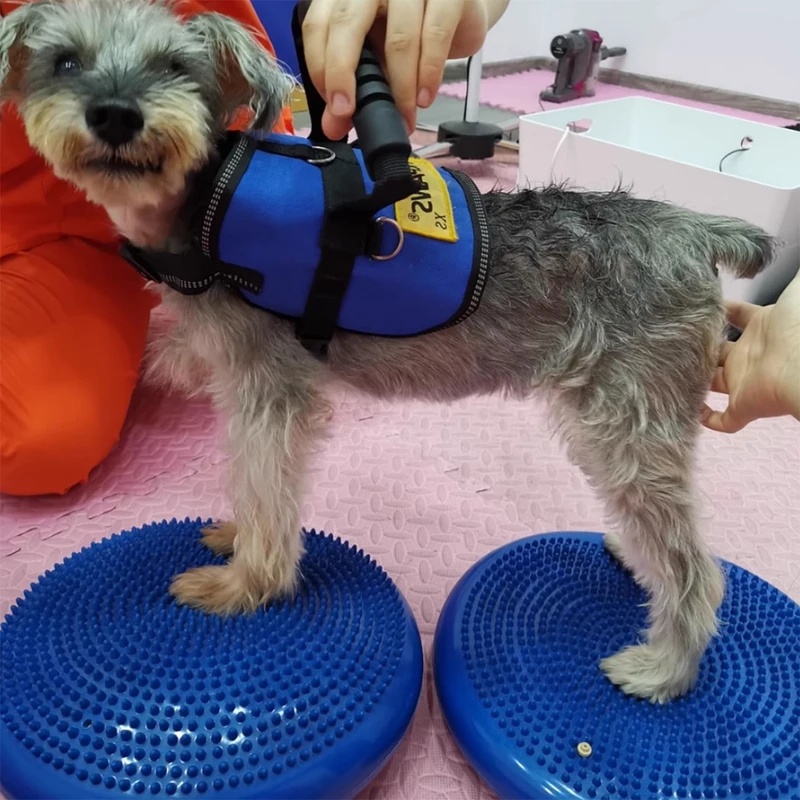 Disco de Equilíbrio para Cães: - Balance Cushion Disc avaliação e preço