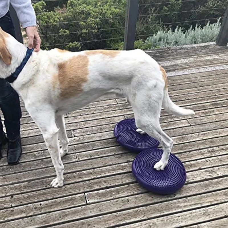 Disco de Equilíbrio para Cães: - Balance Cushion Disc avaliação e preço